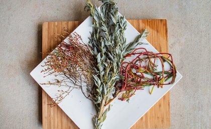 Sprigs of three plants arranged on a white, square plate which sits on a time board